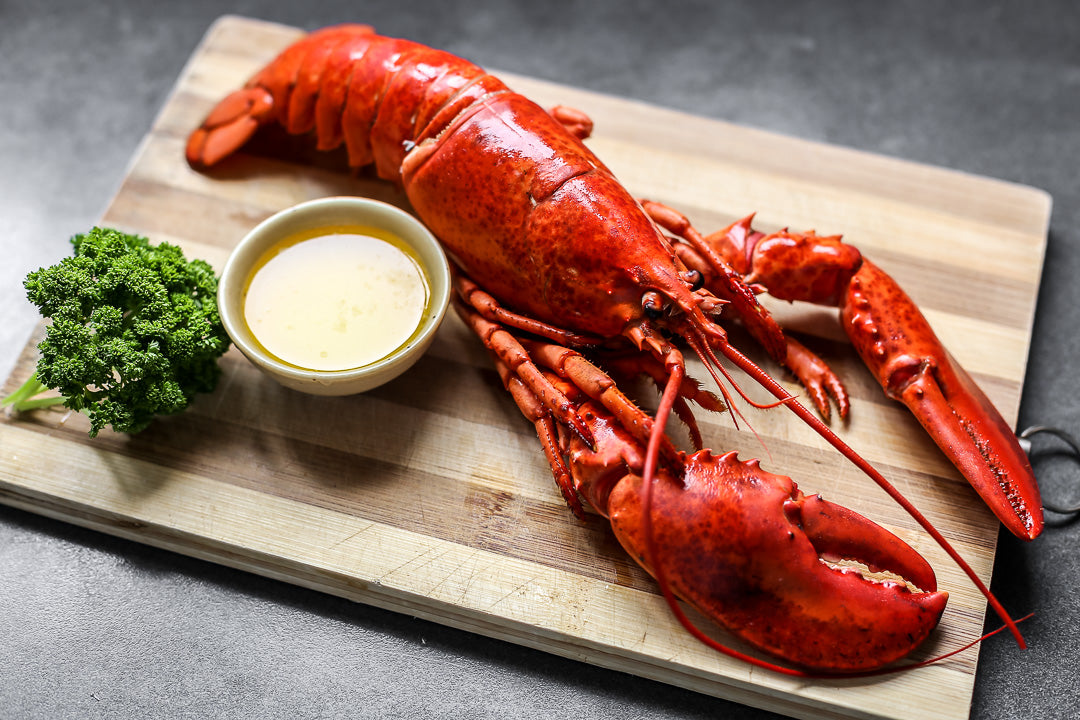 Australia Cooked Lobster (450g-500g)