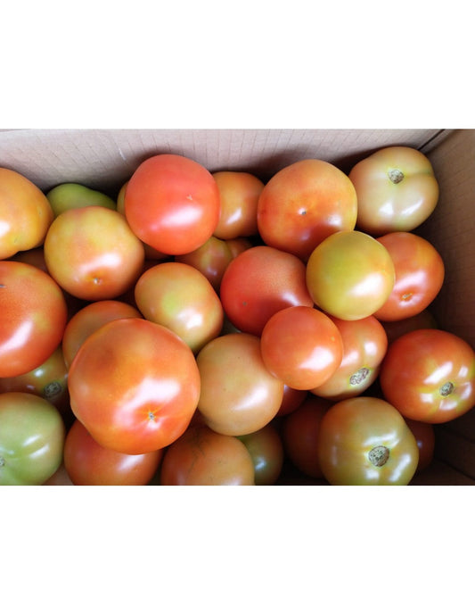 Tomato (1kg) - Malaysia