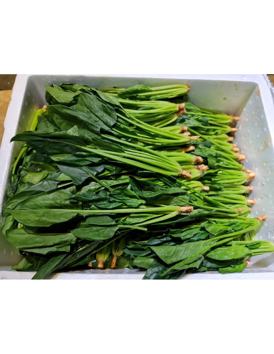 HK Spinach (500g)